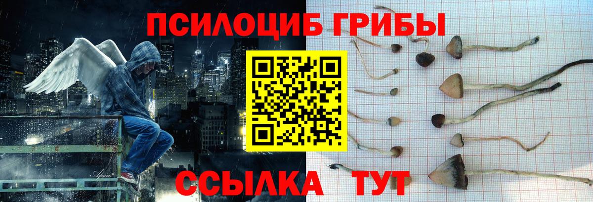Железноводск  Псилоцибиновые грибы Magic Shrooms  Вход с VPN 