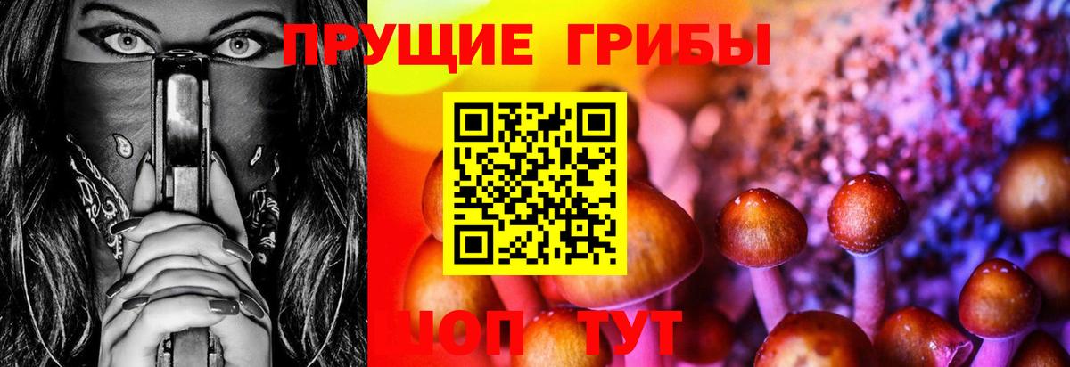 Псилоцибиновые грибы GOLDEN TEACHER Железноводск